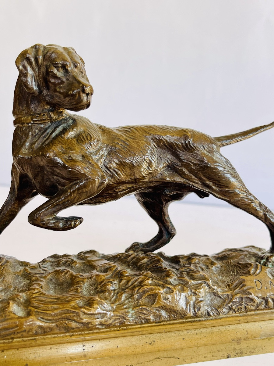 Hunting Dog On Point D.motte -photo-3